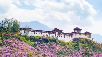 bhutan innovation forum underway with royal attendance  global experts