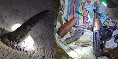 assam  poachers arrested in golaghat  rhino horn recovered