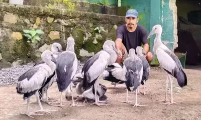 assam  kaziranga orchid park board grants monthly rs 10 000 fellowship to ‘wildlife warrior’ manoj gogoi