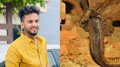bigg boss winner elvish yadav arrested in snake venom case