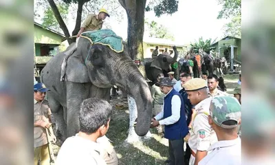 assam opens pobitora wildlife sanctuary for 2025 26 tourist season