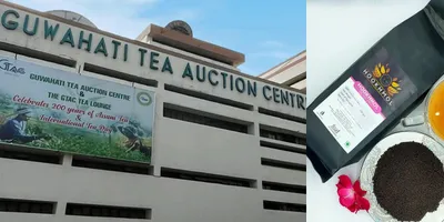 assam  guwahati tea auction centre sets new record with hookhomal ctc teas