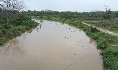 assam  torrential rains trigger erosion  crop loss and widespread waterlogging in doomdooma