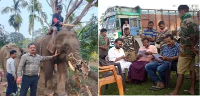 ten elephants illegally transported from arunachal  to kerala via assam