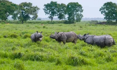 assam budget 2026 unveils homestay subsidies  targets top 10 tourist arrivals ranking