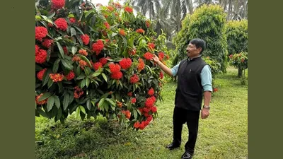 assam launches state floriculture mission to boost farmers’ income