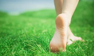 why doctors are talking about walking on grass