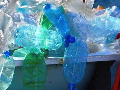 meghalaya hc directs state govt to ban plastic