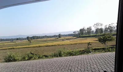 optimism in time of covid19 pandemic