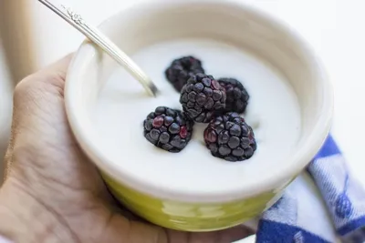 8 easy yogurt meals to keep your gut healthy this summer
