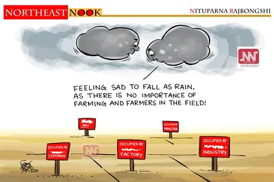 northeast nook  cartoon by nituparna rajbongshi  july 13  2025
