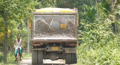 assam  illegal dumpers seized in baksa