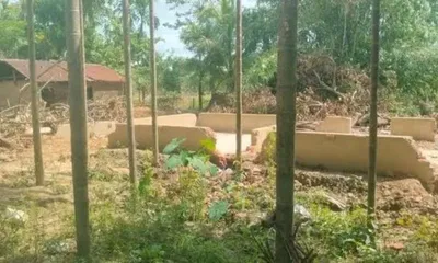 assam  raha eviction drive sees encroachers voluntarily vacate govt  forest land