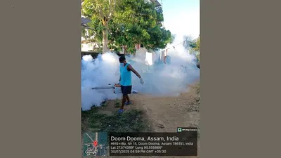 assam govt boosts efforts to combat japanese encephalitis outbreak