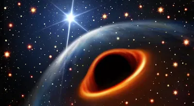 black hole  neutron star or something new 