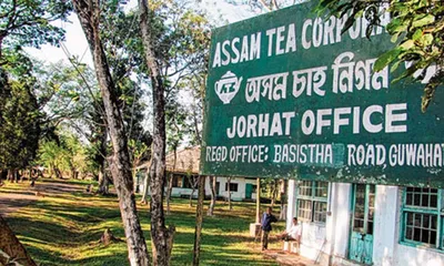 assam s heritage at risk  2  historic tea estates to be replaced by township  university