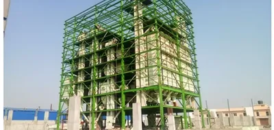 industrial progress in assam should not be lost in the woods 