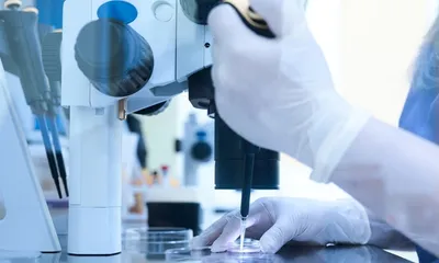 northeast gets its first livestock ivf lab in assam