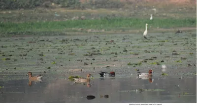 smart guwahati at the cost of natural heritage