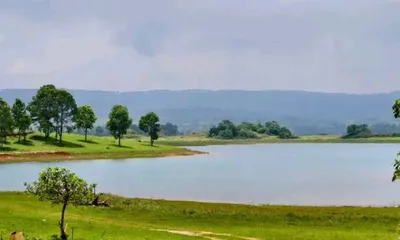 assam  gauhati high court slams government over bighas of land to cement firm