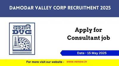 damodar valley corp recruitment 2025   apply for consultant job
