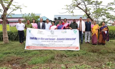 manipur  icar develops 12 new rice varieties for northeast