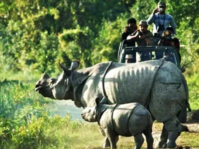 assam manas national park to reopen for tourists from sept 27