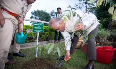 statewide plantation drives mark green mizoram day
