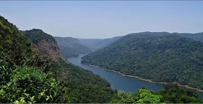 arunachal activist accuses nhpc of violating forest laws on dibang project