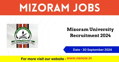 mizoram jobs   mizoram university recruitment 2024