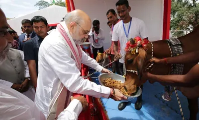 assam cm calls cow protection a policy priority  not just faith