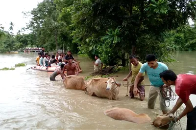 coping flood disasters with early warning