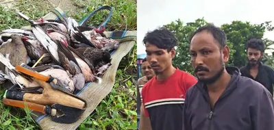 assam  two held for illegal bird hunting in bajali