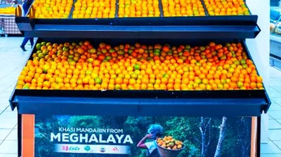 khasi mandarin from meghalaya up for sale in dubai hypermarkets