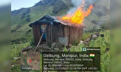 manipur  ncb destroys 41 acres of illegal poppy cultivation in kangpokpi