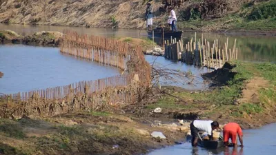 brahmaputra tributaries no longer secure dolphin habitats