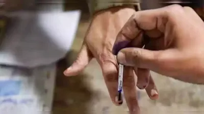 tripura panchayat elections  over 30 per cent voter turnout till noon