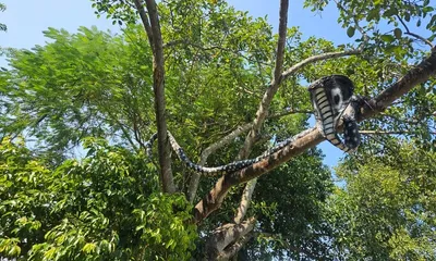 faith keeps it alive  straw snake in assam s titka still stands amid rains