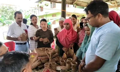 assam  women learn to turn invasive weed into livelihood