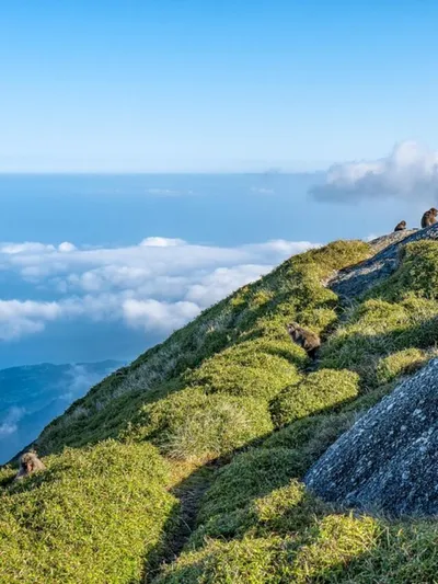 nagaland  minister shares concern over wrong map depiction