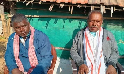 when the tree that completes a marriage starts to disappear