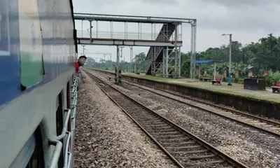 elephant deaths on assam railway tracks expose gaps in wildlife safety