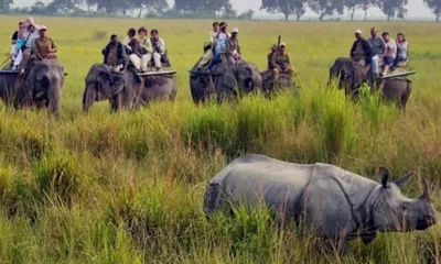 assam govt reconstitutes state board for wildlife with conservationists and ngos