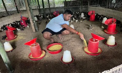 assam cm s egg production appeal inspires bajali youth to add 5 000 layer birds