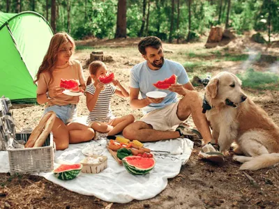 10 picnic essentials to pack for having a fun time in comfort