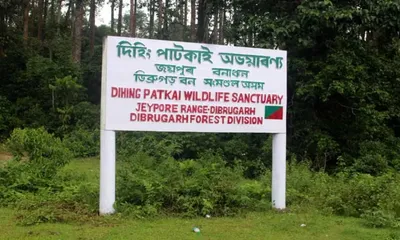 assam  conservationists oppose oil s hydrocarbon exploration plan in dehing patkai