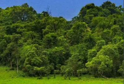 manipur  naga council raises alarm over oil explortaion in zeilad wildlife sanctuary