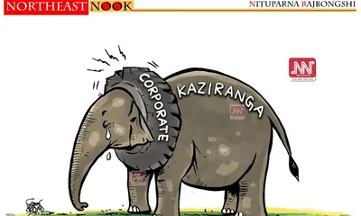 northeast nook  cartoon by nituparna rajbongshi  september 13  2026