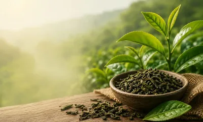 international tea day 2026  india’s tea industry celebrates record exports amid climate  cost pressures