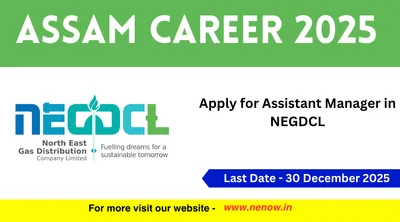 assam career 2025   apply for assistant manager in negdcl